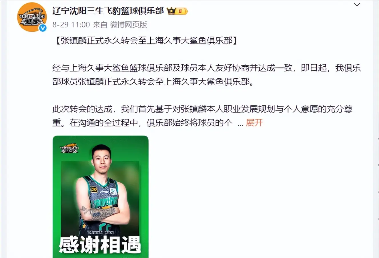 男篮, 宇星, 球商