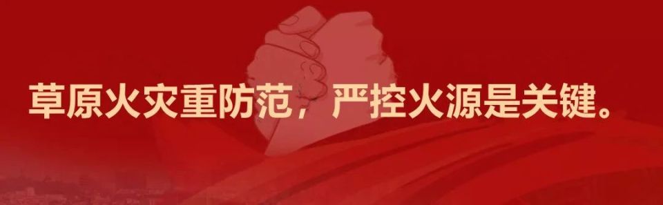 流星轮滑队, 年体育文化